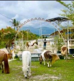 Countryside Stables Penang